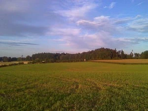 Umgebung 01