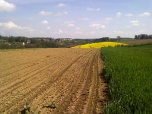 Umgebung 03