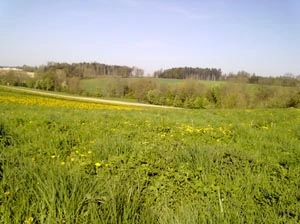 Umgebung 06