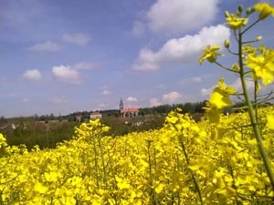 Umgebung 09