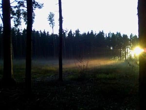 Umgebung 15